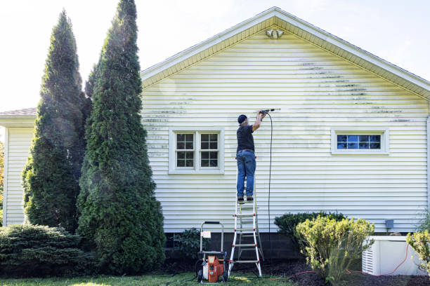 Best Local Pressure Washing Services  in Linntown, PA